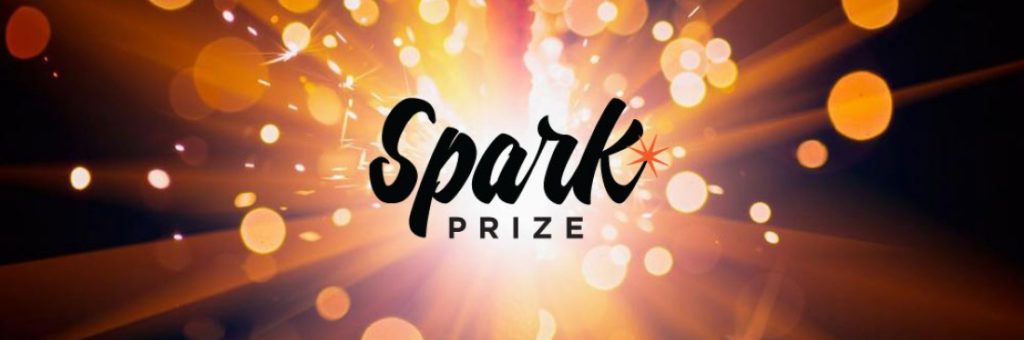 Neighbors Together selected as Brooklyn Community Foundation Spark Prize finalist