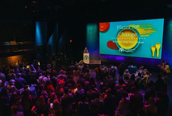 June 2026 Newsletter